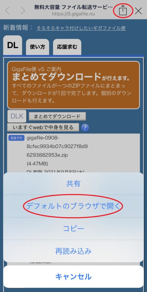 ギガファイル便でアップロードされた動画ファイルをline環境でダウンロードしたら再生できない ギガファイル の 困った できない を解決します よくある質問と公式回答集